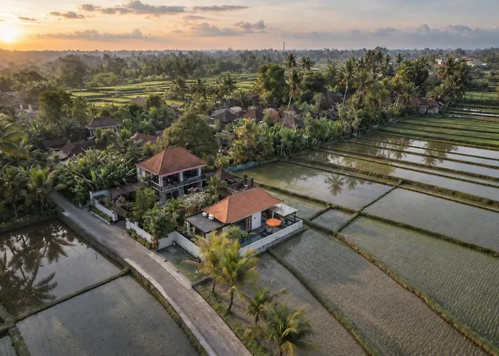 Umah Bali *